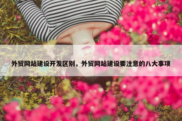 外贸网站建设开发区别，外贸网站建设要注意的八大事项