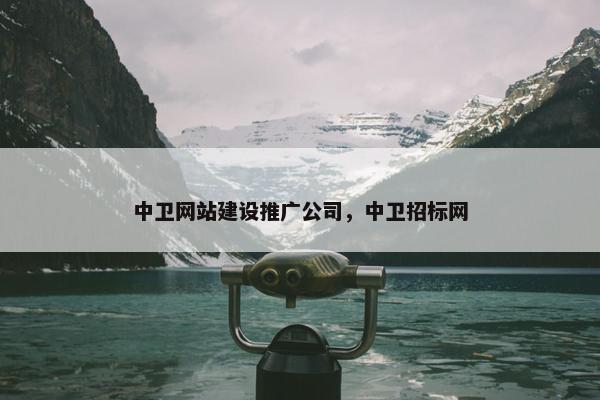 中卫网站建设推广公司，中卫招标网