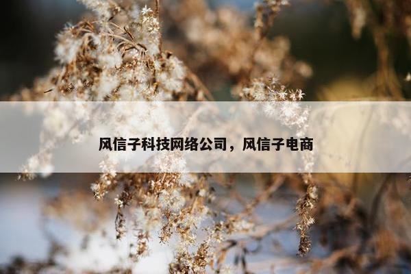 风信子科技网络公司，风信子电商