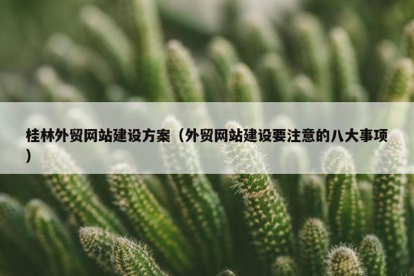 桂林外贸网站建设方案（外贸网站建设要注意的八大事项）