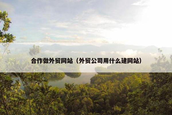 合作做外贸网站（外贸公司用什么建网站）