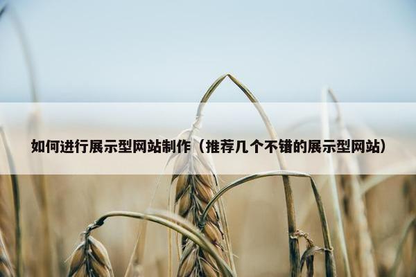 如何进行展示型网站制作（推荐几个不错的展示型网站）