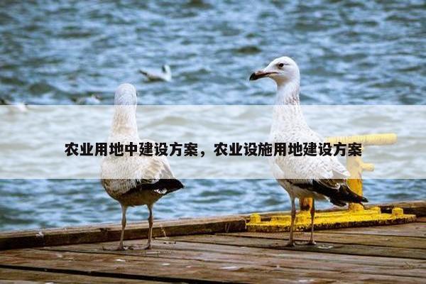 农业用地中建设方案，农业设施用地建设方案
