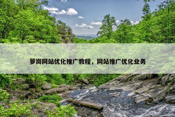 萝岗网站优化推广教程，网站推广优化业务