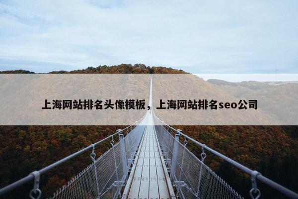上海网站排名头像模板，上海网站排名seo公司