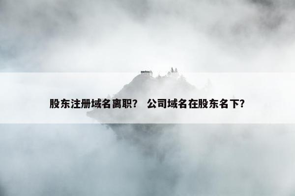 股东注册域名离职？ 公司域名在股东名下？