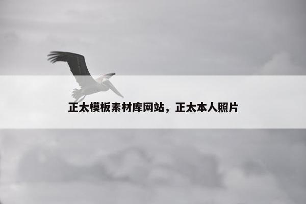 正太模板素材库网站，正太本人照片