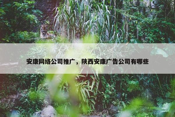 安康网络公司推广，陕西安康广告公司有哪些