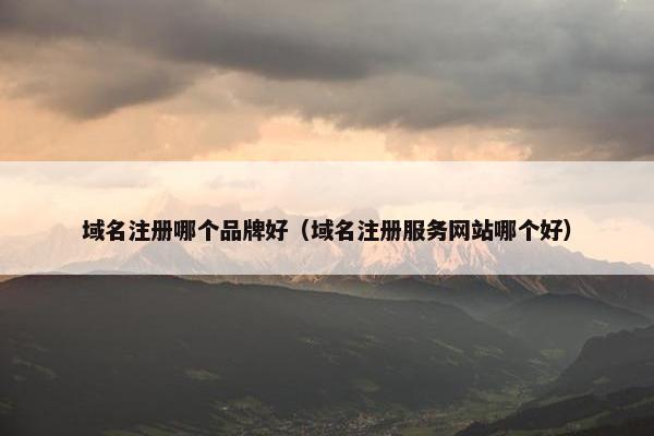 域名注册哪个品牌好（域名注册服务网站哪个好）
