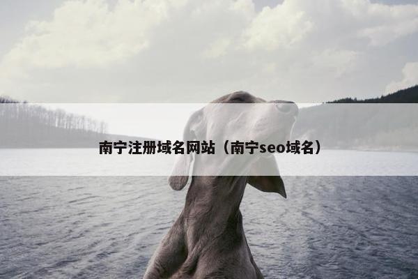 南宁注册域名网站（南宁seo域名）