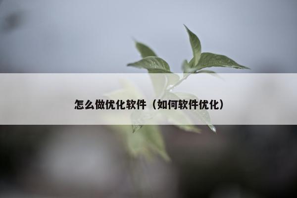 怎么做优化软件（如何软件优化）
