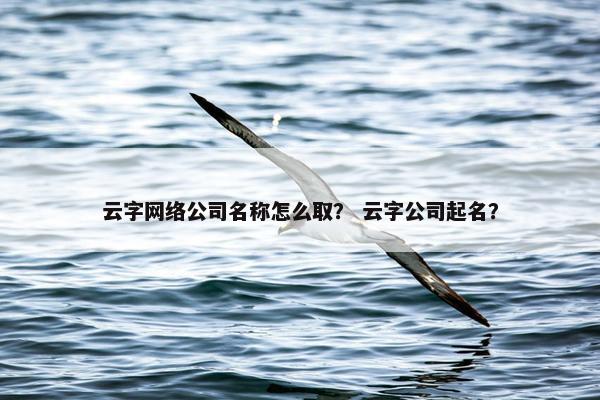 云字网络公司名称怎么取？ 云字公司起名？