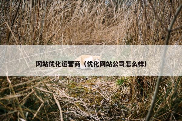 网站优化运营商（优化网站公司怎么样）