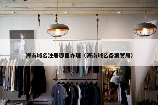 海南域名注册哪里办理（海南域名备案管局）