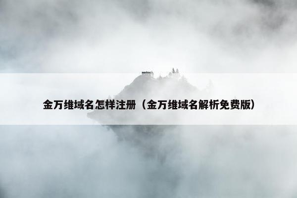 金万维域名怎样注册（金万维域名解析免费版）