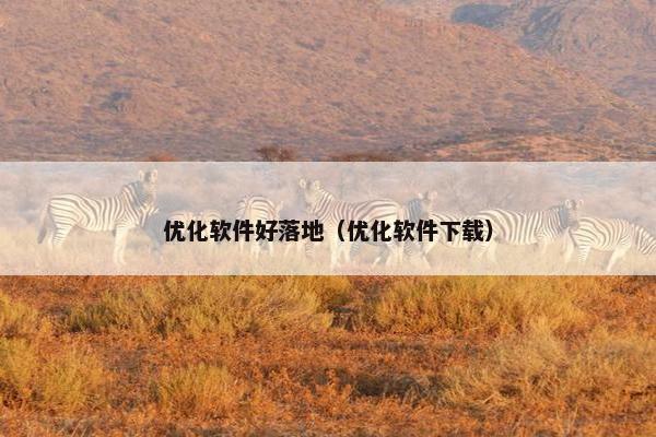 优化软件好落地（优化软件下载）
