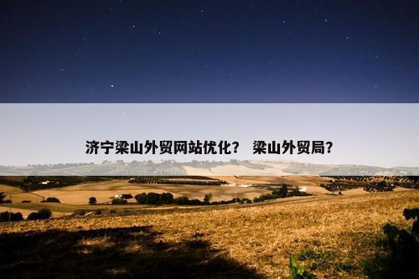 济宁梁山外贸网站优化？ 梁山外贸局？