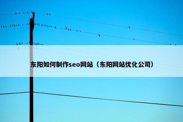 东阳如何制作seo网站（东阳网站优化公司）
