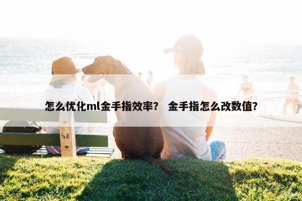 怎么优化ml金手指效率？ 金手指怎么改数值？