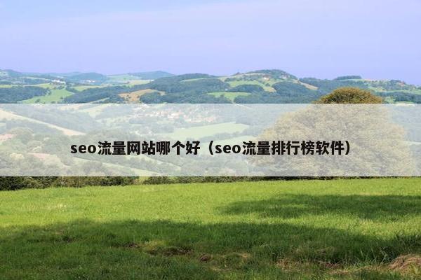 seo流量网站哪个好（seo流量排行榜软件）
