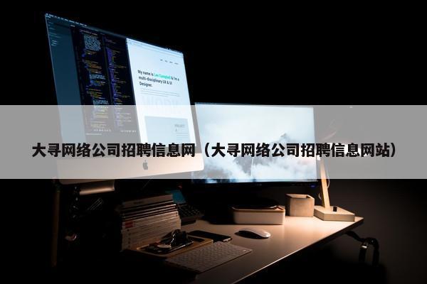 大寻网络公司招聘信息网（大寻网络公司招聘信息网站）
