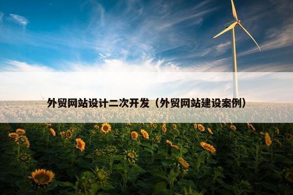 外贸网站设计二次开发（外贸网站建设案例）