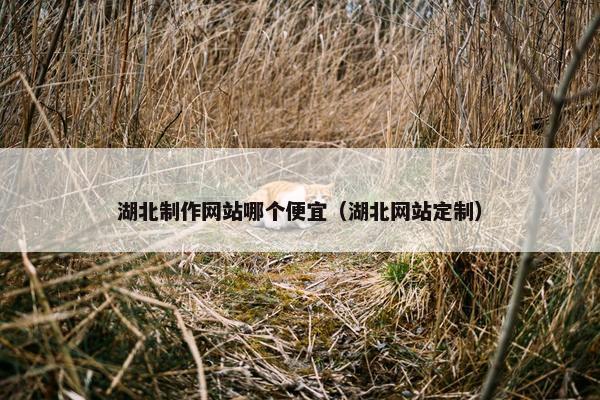 湖北制作网站哪个便宜（湖北网站定制）