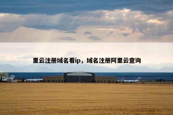 里云注册域名看ip，域名注册阿里云查询