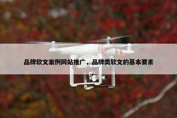 品牌软文案例网站推广，品牌类软文的基本要素