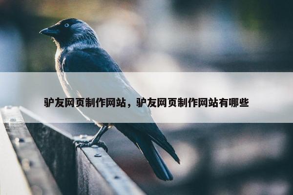 驴友网页制作网站，驴友网页制作网站有哪些