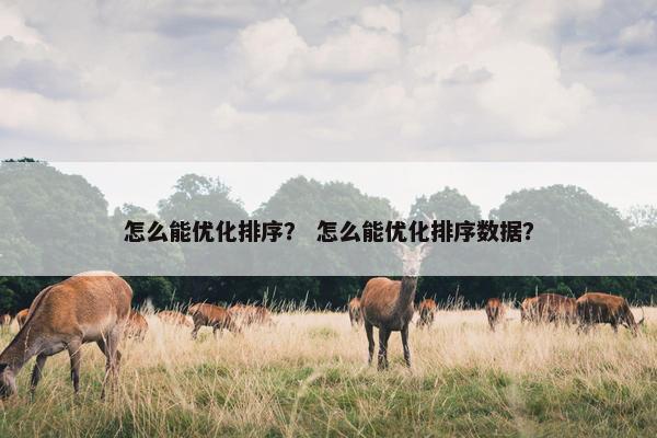 怎么能优化排序？ 怎么能优化排序数据？