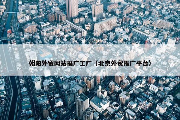 朝阳外贸网站推广工厂（北京外贸推广平台）