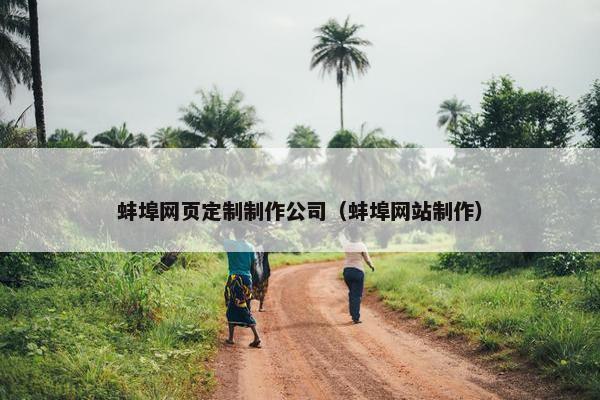 蚌埠网页定制制作公司（蚌埠网站制作）