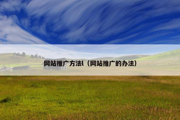 网站推广方法l（网站推广的办法）