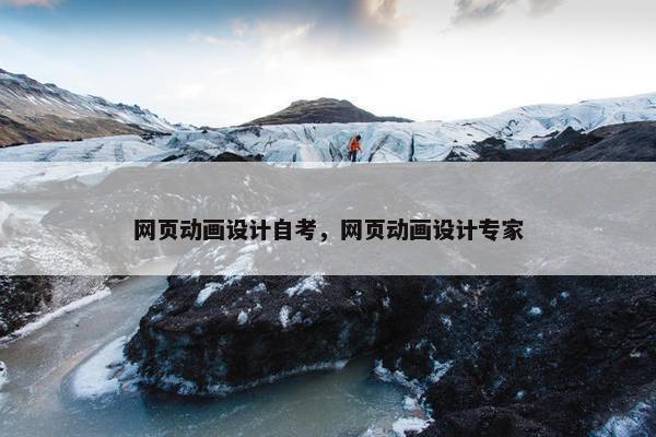 网页动画设计自考，网页动画设计专家