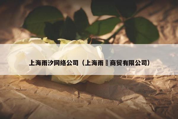 上海雨汐网络公司（上海雨湉商贸有限公司）