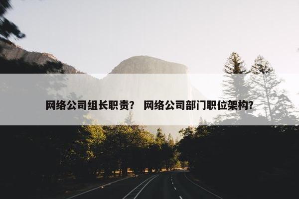 网络公司组长职责？ 网络公司部门职位架构？