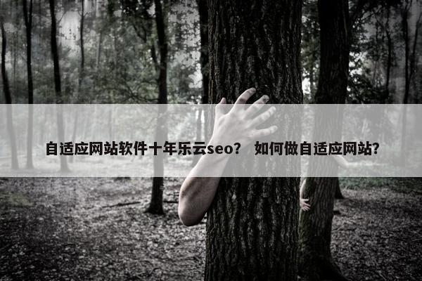 自适应网站软件十年乐云seo？ 如何做自适应网站？
