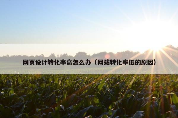 网页设计转化率高怎么办（网站转化率低的原因）