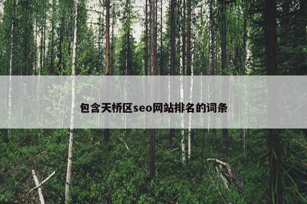包含天桥区seo网站排名的词条