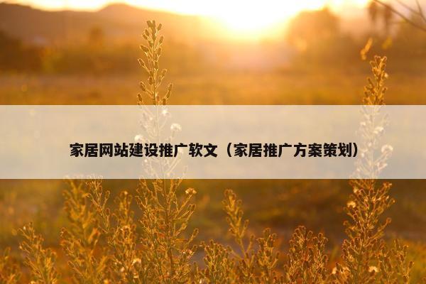 家居网站建设推广软文（家居推广方案策划）