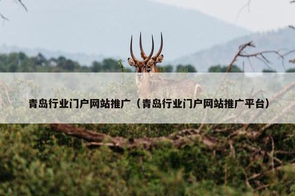 青岛行业门户网站推广（青岛行业门户网站推广平台）