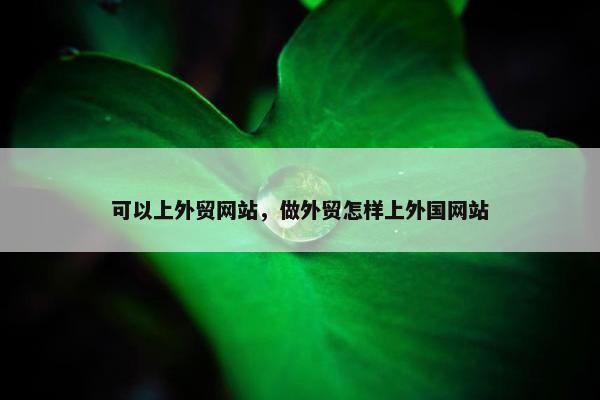 可以上外贸网站，做外贸怎样上外国网站
