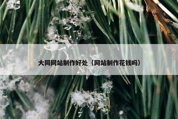 大同网站制作好处（网站制作花钱吗）
