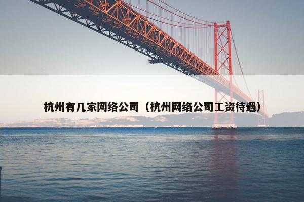 杭州有几家网络公司（杭州网络公司工资待遇）