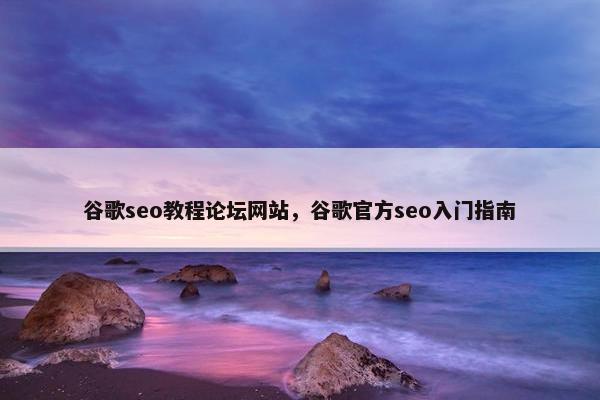 谷歌seo教程论坛网站，谷歌官方seo入门指南