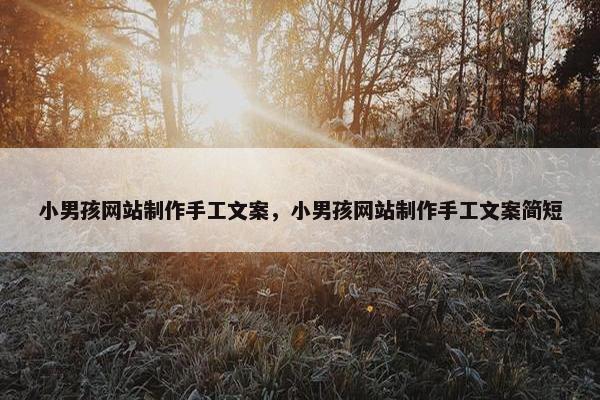 小男孩网站制作手工文案，小男孩网站制作手工文案简短