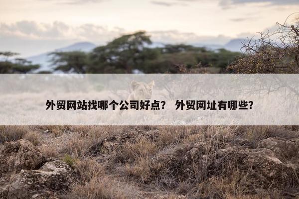 外贸网站找哪个公司好点？ 外贸网址有哪些？