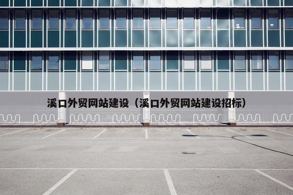 溪口外贸网站建设（溪口外贸网站建设招标）