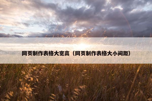 网页制作表格大宽高（网页制作表格大小间距）